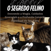Imagem do curso O Segredo Felino: Desvende a Magia, Cuidados Essenciais e a Profunda Conexão Espiritual do Seu Gato