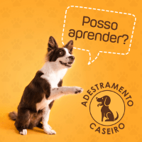 Imagem do produto Adestramento Caseiro para Cães