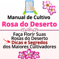 Imagem do produto Manual de Cultivo da Rosa do Deserto