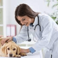 Imagem do produto Curso Auxiliar de Veterinário e Pet Shop