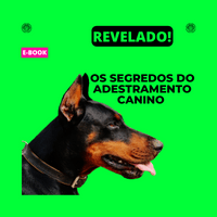 Imagem do produto Adestramento canino