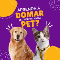 Imagem do curso Mestre dos Animais: Como Domar Seu Pet