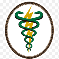 Imagem do produto Fichas de avaliação fisioterapeuticas