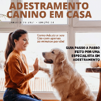 Imagem do produto Manual de Adestramento Canino em Casa - 2024.
