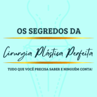 Imagem do produto Os Segredos da Cirurgia Plástica Perfeita