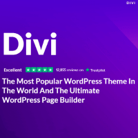 Imagem do curso Divi Theme Wordpress + Divi Builder Lifetime Vitalício