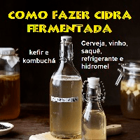 Imagem do curso Como fazer cidra fermentada, cerveja, vinho, saquê, refrigerante, hidromel, kefir e kombuchá