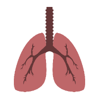 Imagem do curso Capacitação Avançada em FISIOTERAPIA CARDIORRESPIRATÓRIA - Certificado 340 horas