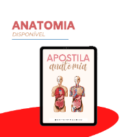 Imagem do curso ANATOMIA
