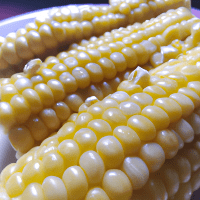 Imagem do produto Como lucrar vendendo milho.