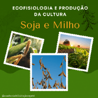 Imagem do curso Ecofisiologia da soja e milho +Bônus tecnologia de sementes