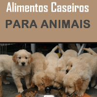 Imagem do produto Alimentos Caseiros Para Animais