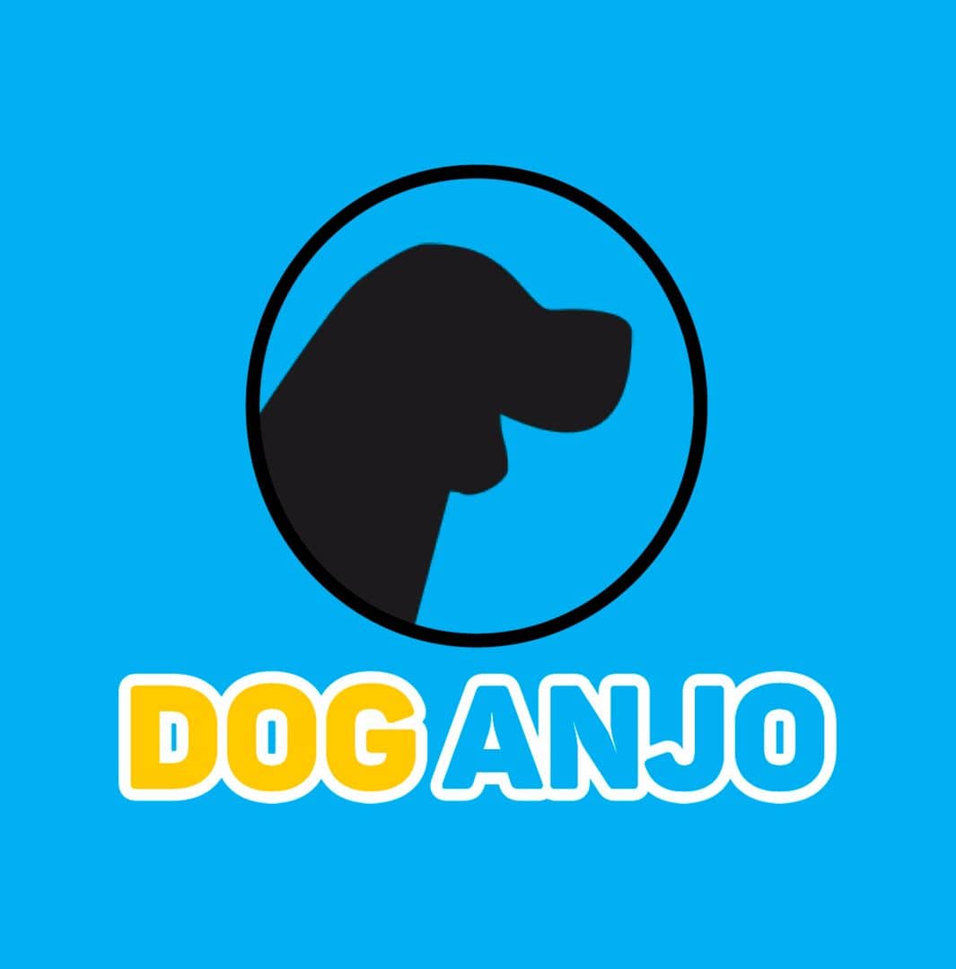 Imagem do produto Dog Anjo - Curso de Adestramento
