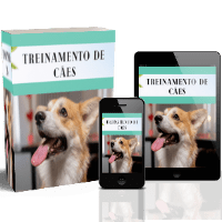 Imagem do curso Treinamento de cães