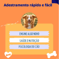 Imagem do curso Adestramento rápido e fácil