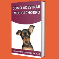 Imagem do produto Como adestrar meu cachorro