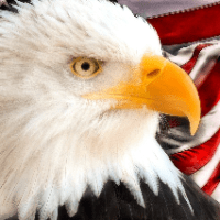 Imagem do curso Aprenda inglês agora