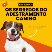 Imagem do produto REVELADO: OS MAIORES SEGREDOS PARA ADESTRAR SEU CÃO