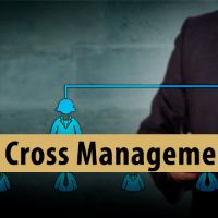 Imagem do curso Cross Management