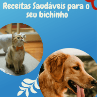 Imagem do produto Receitas Saudáveis para o seu bichinho-Quase 100 receitas para cães e gatos!