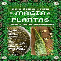 Imagem do produto MAGIA DAS PLANTAS: 21 BANHOS DE ERVAS PARA DIVERSAS FINALIDADES