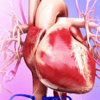 Imagem do produto CURSO DE QUALIFICAÇÃO EM FISIOLOGIA CARDIOPULMONAR - 100% ONLINE CERTIFICADO 180 HORAS INCLUSO