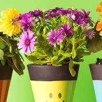 Imagem do produto Produto co-afiliado