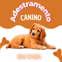 Imagem do curso Adestramento Canino em Casa