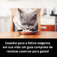 Imagem do produto Cozinhe para o felino exigente em sua vida um guia completo de receitas caseiras para gatos!