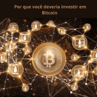 Imagem do produto Por que você deveria investir em Bitcoin Dominio Bitcoin