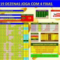 Imagem do produto LOTOFACIL 19 ELITE 100%14 PONTOS