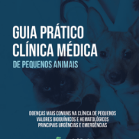Imagem do produto Principais doenças na clínica de pequenos animais