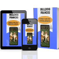 Imagem do produto BULLDOG FRANCES - CONHEÇA E SAIBA COMO TRATAR SEU AMIGUINHO