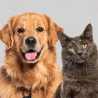 Imagem do produto Guia Completo de Bem-Estar para Cães e Gatos.