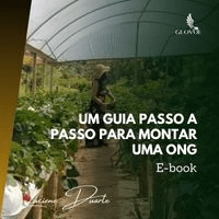 Imagem do produto E-book UM GUIA PASSO A PASSO PARA MONTAR UMA ONG e CONSULTORIA TIRA DÚVIDA