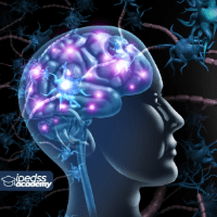 Imagem do produto Curso EAD - NEUROPSICOLOGIA - Certificado 620 horas