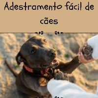 Imagem do produto Adestramento Fácil de cães
