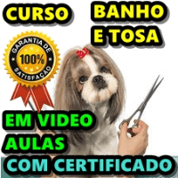 Imagem do produto Curso Banho e Tosa
