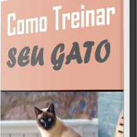 Imagem do produto Como Treinar Seu Gato