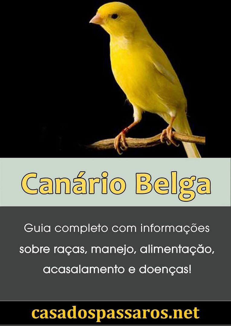 Imagem do produto Criação de Canário Belga
