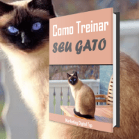 Imagem do produto Como Treinar Seu Gato