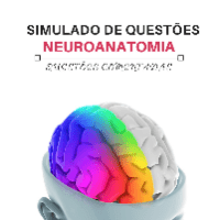 Imagem do produto Simulado de Questões de Neuroanatomia