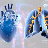 Imagem do produto Curso EAD Cardiopatias e Pneumopatias - Certificado 80 horas.