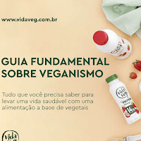 Imagem do curso 20 Receitas Veganas + Guia Fundamental Vegano