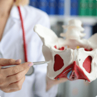 Imagem do produto Curso EAD - FISIOTERAPIA PÉLVICA - Certificado 440 horas Liberado pelo MEC.