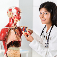 Imagem do produto Curso EAD - Anatomia e Fisiologia Humana - Certificado 60 horas Liberado pelo MEC
