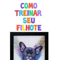 Imagem do curso COMO TREINAR SEU PUPPY