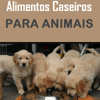 Imagem do curso Alimentos Caseiros Para Animais