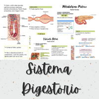 Imagem do curso Apostila de resumos do sistema digestório