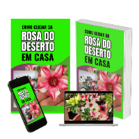 Imagem do produto Manual como cuidar de rosa do deserto em casa,